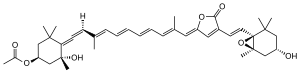 Skeletal formula