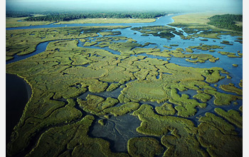 Environmental policy in Virginia