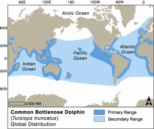 common bottlenose dolphin distribution