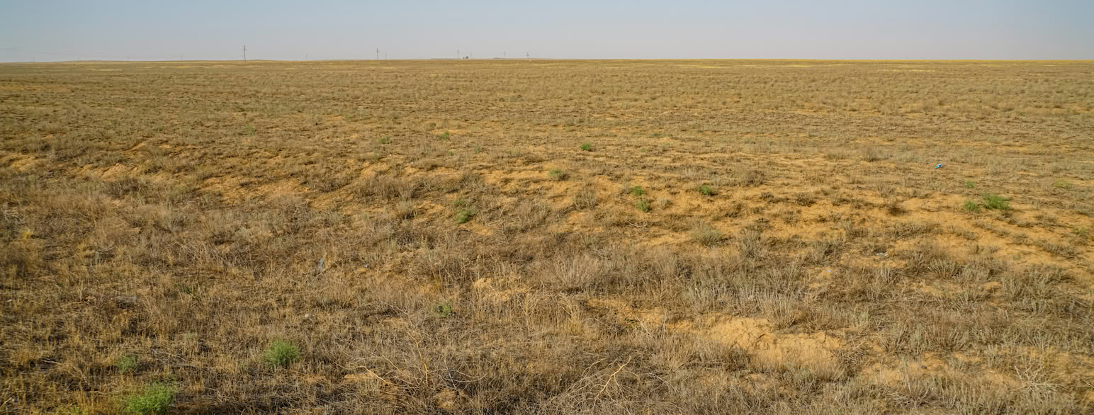 Tørr steppe i Kalmykia, Russland