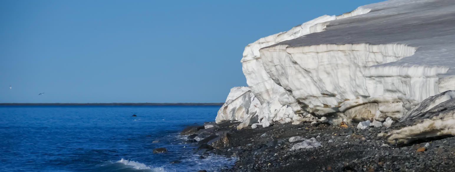 foto av kyst med isbre som går ned i havet