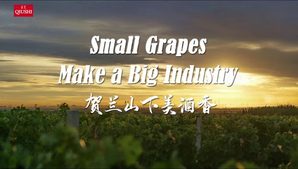 Small Grapes Make a Big Industry