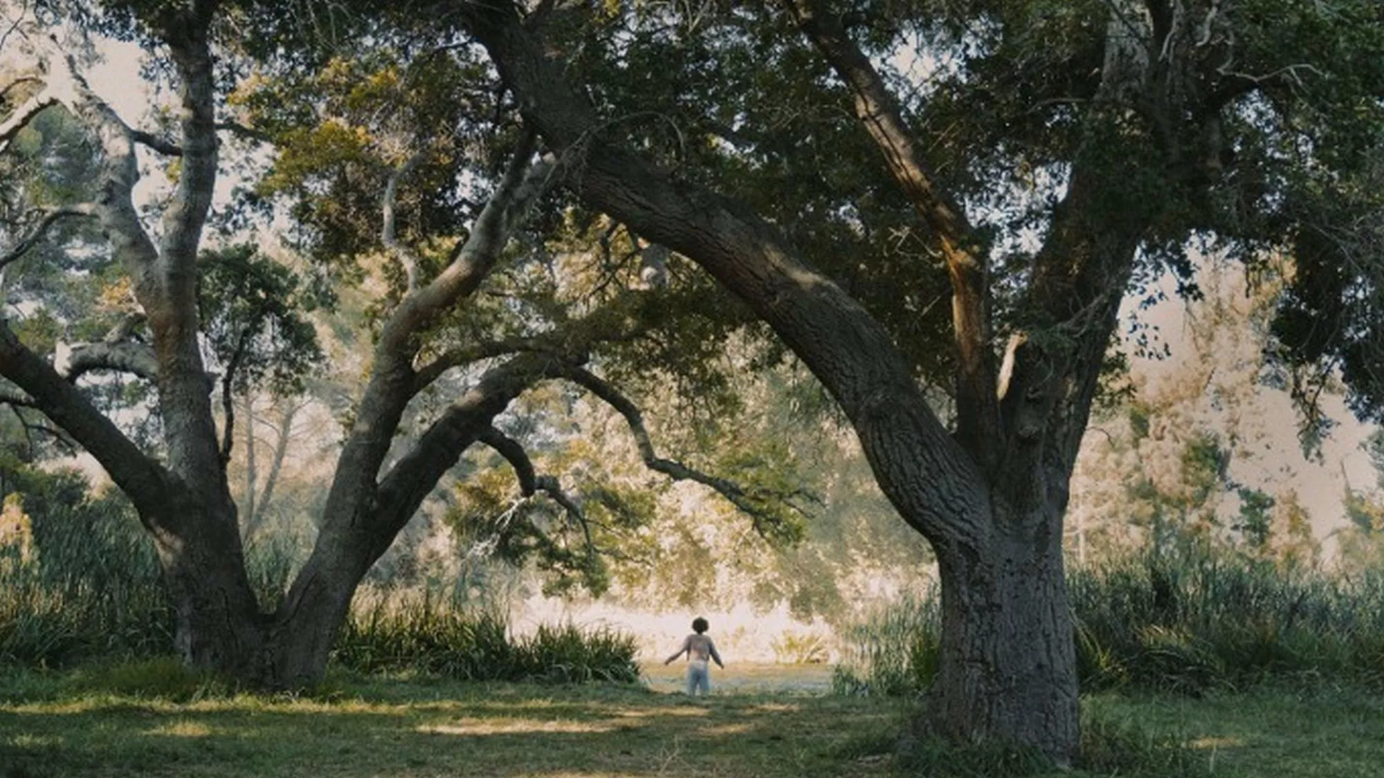 Kindred 1x01