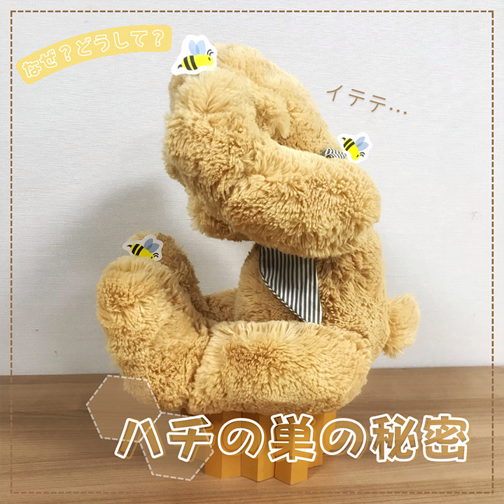 ハチの巣の秘密