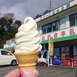 Izu Tedzukuri Kashi Kobo Green Hill Doi - 