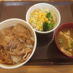 Sukiya Matsudo Nijusseiki Ga Oka Ten - 豚丼サラダセット530円(2019.1.19)