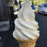 道の駅 北方 よっちみろ屋 - キンカンソフトクリーム350円