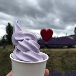 キッチンSKY - 料理写真: