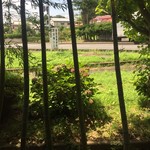 Miyagi Fumino - 2019年8月。