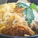 Tonkatsu Miyama - アップ