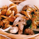 Restaurant La Mare - 秋のきのこフェア
