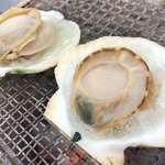 Umi no Koen Kaki Goya - 