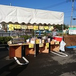 Korean Izakaya Kobuta - 