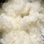 花の木 - 