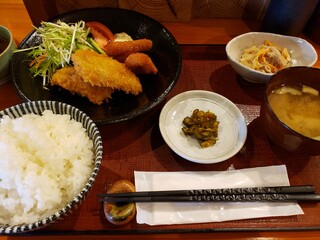Tsurukame - 