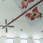 花みずき - 高い天井！普通の建物の２階分です。天付けファンと花の絵がある天井でとんかつ！？