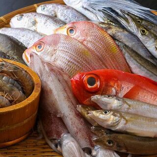 해산물이 맛있는 가게! 신선도가 자랑인 생선 요리와 오반자이도♪