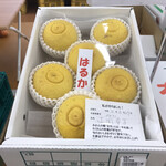 Aridakko - 