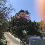 かま屋 - 