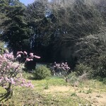 かま屋 - 