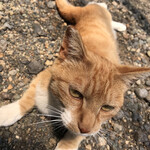 えん - 
