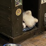 BORNE - 
