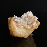 Sushi Rinda - 