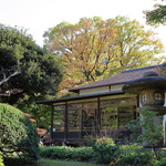 Aoiya Biidoro Saryo - 