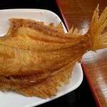 Shirai Shoten Kohomaru - 