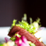 l'elan - 