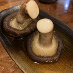 備長炭ひな串 - 