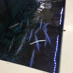 Yobuko Daiba Minato Plaza - 