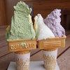 ポラーノ - 料理写真:手前のグリーンは桑茶