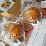 14 Banme no Tsuki - 保護されたねこ