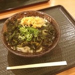 はなまるうどん - 安い、早い、うまい。
            すこし麺のしこしこ感が足りないかな(^q^