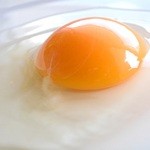 炭火やきとり とさか - 