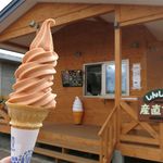 Shinshinotsu Sanchoku Ichiba - トマトソフトクリーム（300円）