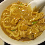 Curry House CoCo Ichibanya Tsuruga Honmachi Ten - 20121209_カレーうどん