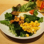 Musashino Camps - 