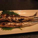 Yuya 2go Ten - 鰯