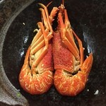 はなまるうどん - 