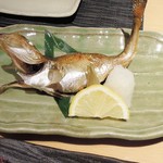 Niigata Nihonbashi - ？？