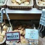 BISTRO309 Ario Hashimoto Ten - 