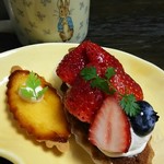 シオミ - 
