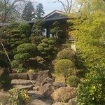 日々蒟蒻 - 