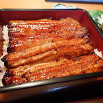 Funashin - 