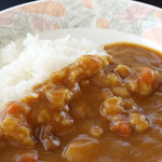 Kids Curry