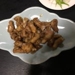 Taiga Hanten - 