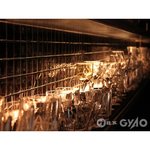 bar nocturne - お酒に合わせたグラスを利用します。
