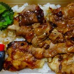 Tatsu Kichi Ashikaga Haga Ten - 
